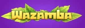 Blaze.com como jogar