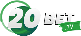 Mega downloader ilimitado - Marathonbet