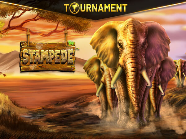 Bambet Casino